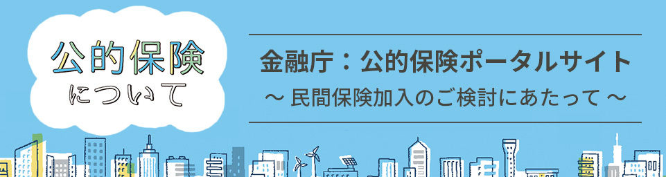 金融庁：公的保険ポータルサイト
